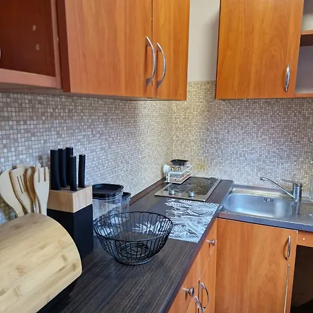 W Centrum Appartement Międzybrodzie Bialskie